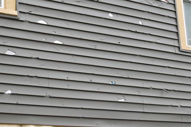 Best Custom Siding Design  in New Madrid, MO