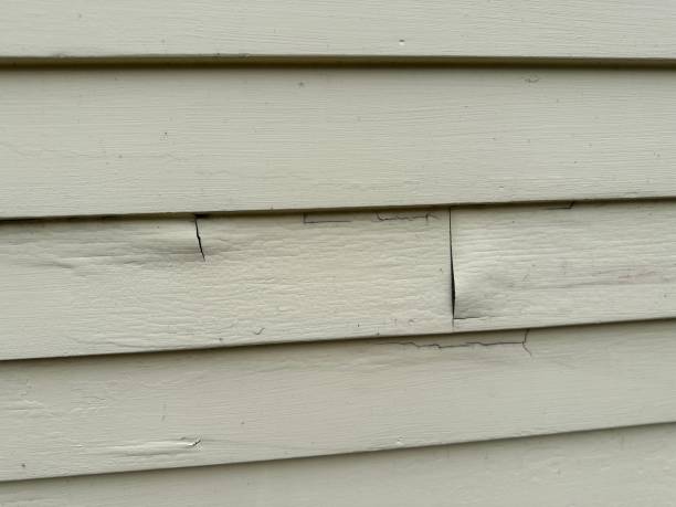 Trusted New Madrid, MO Siding Experts