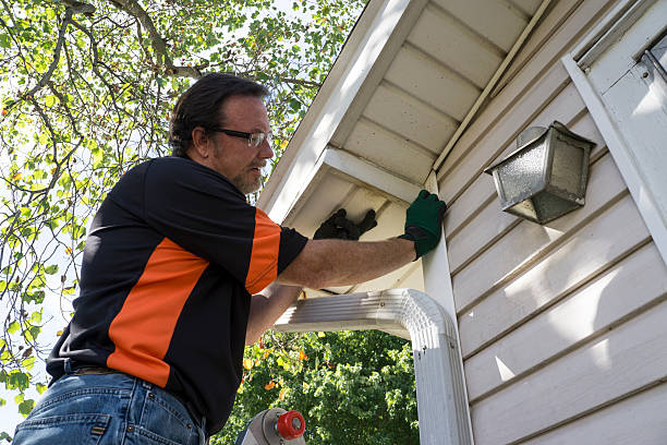 Best Stucco Siding  in New Madrid, MO